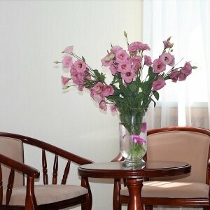 Гостиница Даккар Балаклава-72